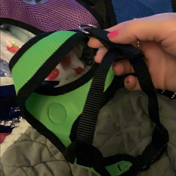 New Paw Harness 2 med blue/purple & small green - Picture 3 of 5